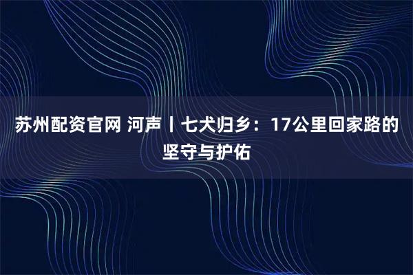 苏州配资官网 河声丨七犬归乡：17公里回家路的坚守与护佑