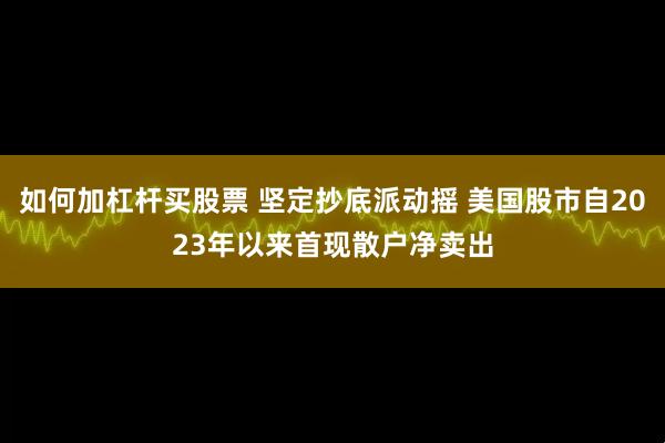 如何加杠杆买股票 坚定抄底派动摇 美国股市自2023年以来首现散户净卖出