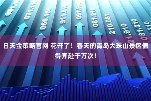 日天金策略官网 花开了!春天的青岛大珠山景区值得奔赴千万次!