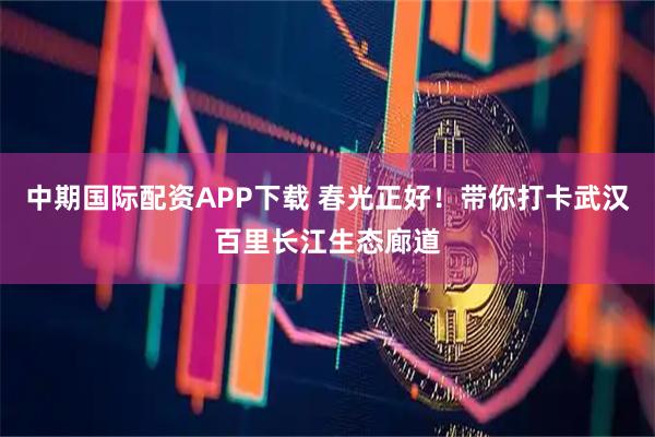 中期国际配资APP下载 春光正好！带你打卡武汉百里长江生态廊道