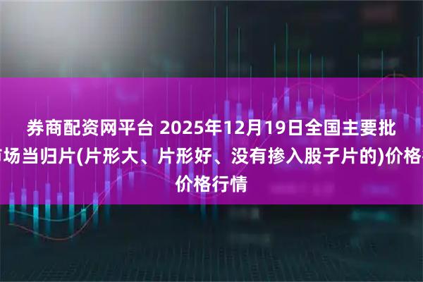 券商配资网平台 2025年12月19日全国主要批发市场当归片(片形大、片形好、没有掺入股子片的)价格行情