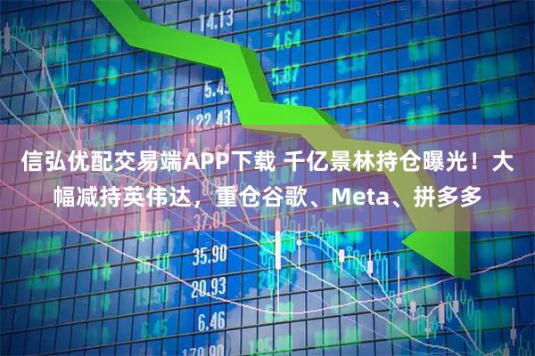 信弘优配交易端APP下载 千亿景林持仓曝光！大幅减持英伟达，重仓谷歌、Meta、拼多多